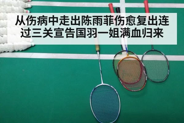 从伤病中走出陈雨菲伤愈复出连过三关宣告国羽一姐满血归来