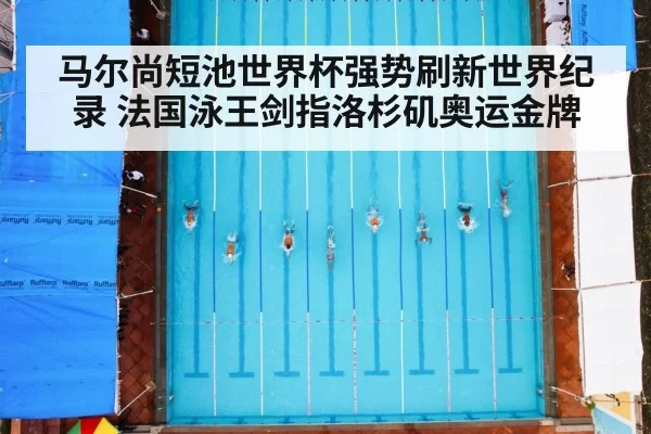 马尔尚短池世界杯强势刷新世界纪录 法国泳王剑指洛杉矶奥运金牌